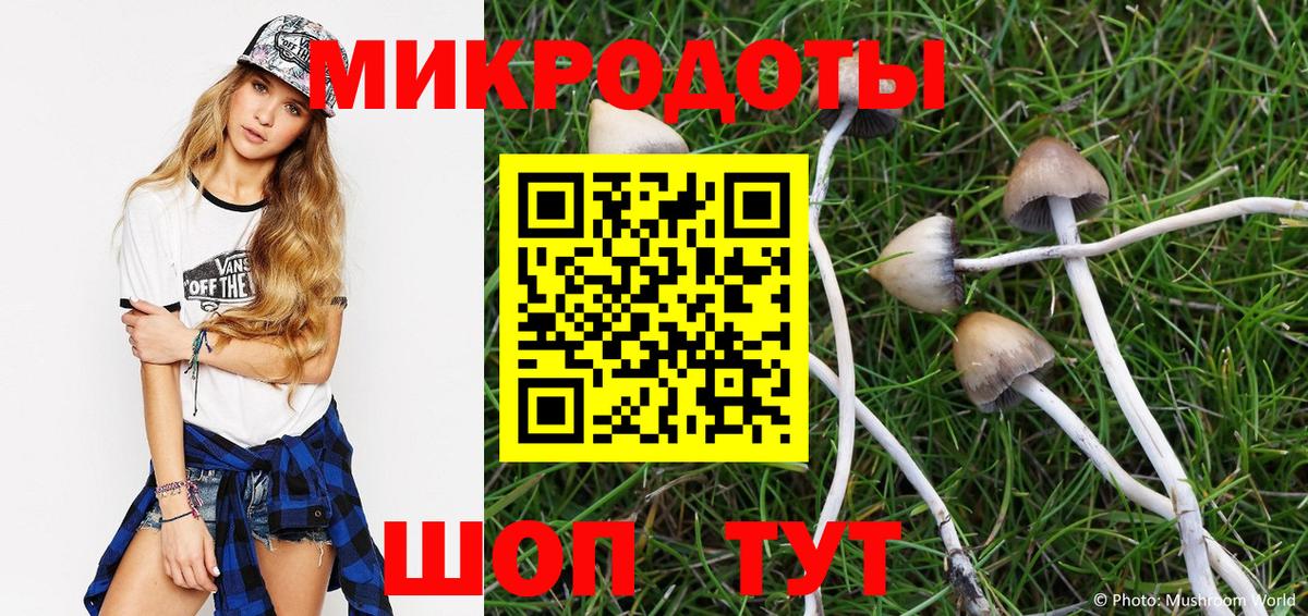 Псилоцибиновые грибы мухоморы Гусь-Хрустальный