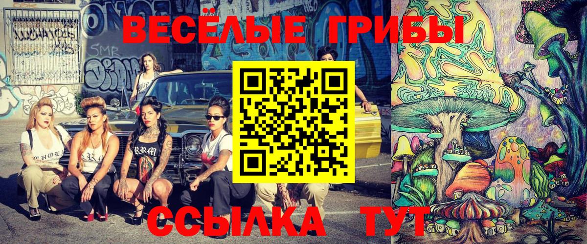 Гусь-Хрустальный  Галлюциногенные грибы мицелий  Вход с VPN 