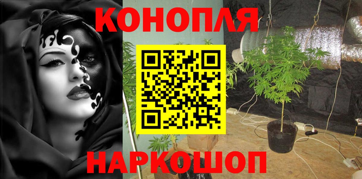 Бошки Шишки план Гусь-Хрустальный